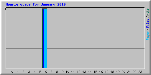 Hourly usage for January 2010